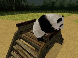 Animalz: Mis Amigos los Pandaz